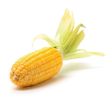 Natural Sweet Yellow Corn With High Yield Yellow Corn Ensuring Excellent Quality And Consistent Supply For Buyers from THE GREEN INTERNATIONAL LIMITED Natural Sweet Yellow Corn With High Yield Yellow Corn Ensuring Excellent Quality And Consistent Supply For Buyers - THE GREEN INTERNATIONAL LIMITED - Tanzania