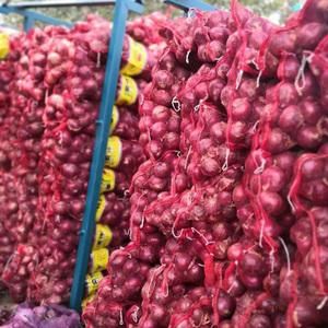 Red onion - Uptread - Malawi