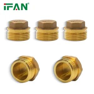 Ifan All Size Reliable Supplier ISO15875 Brass Threaded Fittings Female Thread Brass Fittings - Zhuji Fengfan Piping Co., Ltd. - China