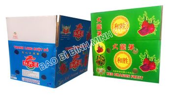 Packaging Corrugated Carton Box for Fresh Dragon Fruit Printed and Wax-dipped Custom from BINH MINH P.A.T CO.,LTD Packaging Corrugated Carton Box for Fresh Dragon Fruit Printed and Wax-dipped Custom - BINH MINH P.A.T CO.,LTD - Vietnam