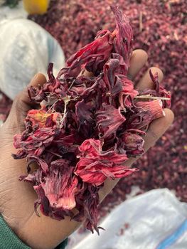 Hibiscus - SB agro allied - Nigeria