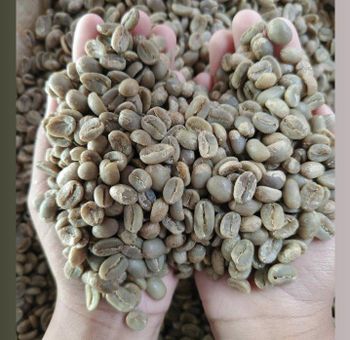 Coffee Beans – product photo, Green Beans Coffee products found from trusted suppliers, wholesalers, manufacturers & exporters Listing