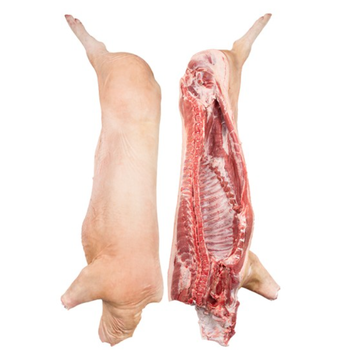 first class Halal Frozen Whole Beef Carcass Wholesale In Bulk from N.G westen holding B.V first class Halal Frozen Whole Beef Carcass Wholesale In Bulk - N.G westen holding B.V - Netherlands