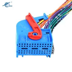 Custom 52 Pin Female Connector Plug Automotive Electric Wire Harness 2209477-2 - Guangzhou Kuqi Technology Co., Ltd - China