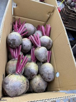 VIETNAM FRESH BEETROOT - TERRA HUB LIMITTED COMPANY - Vietnam