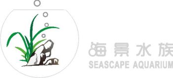Product - Dongguan Seascape Handicraft Limited - China
