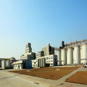 Structural Steel Structure Buildings Prefabricated Steel Structure Warehouse - Jinan Xingya Metal Material Co., Ltd. - China