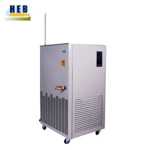 Dlsb-100/40 100L -40degree Low Temperature Cooling Circulating Bath - Xi'an Heb Biotechnology Co., Ltd. - China