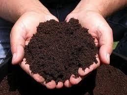 Organic Manures – product photo, Organic Manure products found from trusted suppliers, wholesalers, manufacturers & exporters Listing