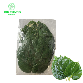 Frozen Wild Betel Leaves - HOA CUONG AGRICULTURAL JSC  - Vietnam