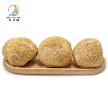 Wholesale lions Mushrooms hericium erinaceus mushroom dried lions mane mushroom Bulk Organic lion mane - Guangzhou Shenghongming Trading Co., Ltd. - China
