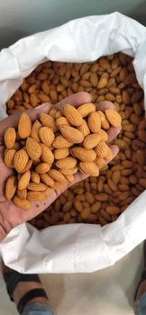 Wholesale Almond Nuts | Premium Quality, Nonpareil & California Almonds – Healthy, Protein-Rich Snack - THE GREEN INTERNATIONAL LIMITED - Tanzania