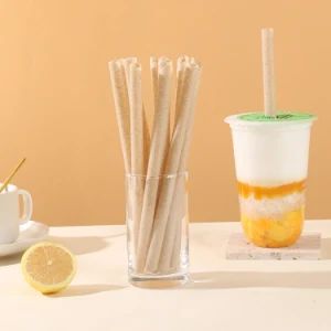 Natural 100% Biodegradable Bubble Sugarcane Bagasse Drinking Straws for Tea Juice Coconut - Hefei Hyde Environment Protection Technology Co., Ltd. - China