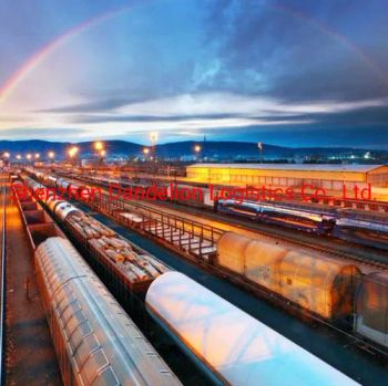 Rail Transport Railway Shipping From China to European (DDP) Length 45' Color White Shenzhen 10 Origin China Hong Kong - Shenzhen Dandelion Logistics Co., Ltd. - China