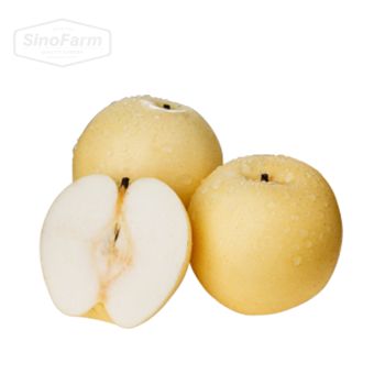 High quality of Chinese pear fruit crown pear new crop fresh pears price for Russia and Ecuador export from China - Shandong Sinofarm Food Co., Ltd. - China
