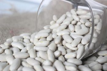 Egyptian White Beans – product photo, Dried White Beans products found from trusted suppliers, wholesalers, manufacturers & exporters Listing