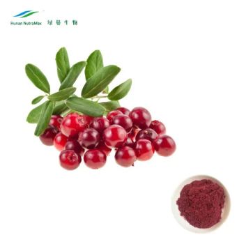 Free Samples Fresh or Pure Natural Cranberry Juice Concentrate Porpular Cranberry Juice Powder - Hunan Nutramax Inc. - China
