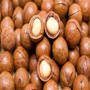 Wholesale Price Special Offer International Standard Cracked Roasted Macadamia Nuts from CPW TRADE LTD Wholesale Price Special Offer International Standard Cracked Roasted Macadamia Nuts - CPW TRADE LTD - United Kingdom