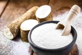Tapioca Starch Origin Indonesia Certifications P.rhoy Packaging 25 Kg / 50 Kg Pp Bags Or As Per Customer - PANCAJAYA MAKMUR SEJAHTERA - Indonesia