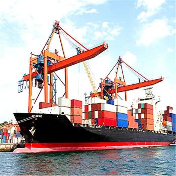 Navegantes Shipping Freight From All China Ports - SDI LOGISTICS CO., LIMITED - China