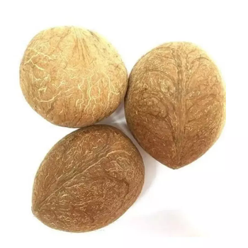Whole Dried Coconut Export, Fresh Whole Coconut Supplier In Bulk Quantity Available To Export from Vietnam at Cheap Price - G&G CONCEPT CO.,LTD - Vietnam