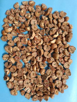 Betel nut Split 90-95% from PT JEXPROM SEJAHTERA INDONESIA Betel nut Split 90-95% – product photo, Frozen Betel Nut products found from trusted suppliers, wholesalers, manufacturers & exporters Listing