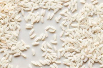 Long Grain White Rice Pure and Soft Rice for Daily Cooking and Special Recipes Fluffy and Nutrient Rich from AGRONOVA Long Grain White Rice Pure and Soft Rice for Daily Cooking and Special Recipes Fluffy and Nutrient Rich - AGRONOVA - United States