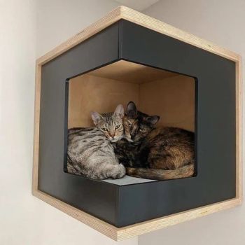 Cat Trees & Scratcher Wall Mounted Fashion Cat Wall Bed Wooden Pet Furniture Cat Wall Frame - Cao County Zhi Zhen Mei Wood Co., Ltd. - China