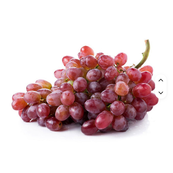 Export Superior High Quality Mature Seedless Grapes Fresh Red Globe US Origin 2 Year Shelf Life from AZU EMOBILITY LLC Export Superior High Quality Mature Seedless Grapes Fresh Red Globe US Origin 2 Year Shelf Life - AZU EMOBILITY LLC - Canada