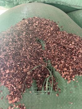 Cocoa Shell - Lewit Limited  - Kenya