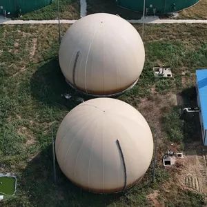 Gas Tank Biogas Storage Tank for Biogas Plant - Qingdao Rely Environmental Technology Co., Ltd - China
