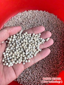 White Pepper (New Technology) Origin Vietnam Form Ground, Whole Variety 710g/l, 720g/l Max. Moisture (%) 12,5% - 13,5% Delivery Form 25kg bag, 50kg bag, Requirement - MINH ANH EXPORT CO., LTD - Vietnam