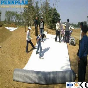 Geosynthetic Clay Liner Waterproofing Material High Quality PVC Geosynthetic Clay Lining - Pennplan Co., Ltd - China
