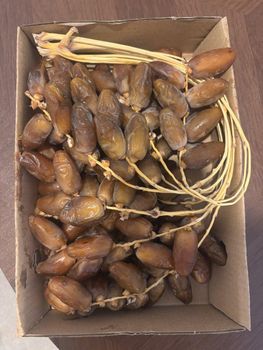 fresh dates deglet nour Available formats:  500g carton 1 kg carton 2 kg carton  Packaging: Premium gift box  retail - LINEA SOLUTION - France