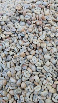 Arabica Coffee Beans - PT. SINANG LEMBAH BUTUH - Indonesia