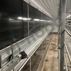 Broiler Equipment with Self Cleaning Water System and Low Maintenance Feeding Line Increasing Efficiency for Poultry Farmers - Qingdao Hi-hope Agricultural Technology Co., Ltd. - China