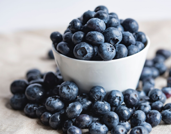 Fresh & Frozen Blueberries – Premium Grade, High Antioxidant Fruit for Wholesale, Export, and Retail Supply - TRADE NEPAL LLC - United States