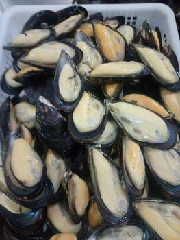 Frozen Mussel Meat 98% Pure Shellfish Product For Wholesale Markets Delivering Fresh Ocean Flavor And Product Excellence - TOSOH INTERNATIONAL - South Africa
