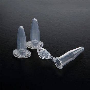 Sterile Conical Micro Centrifuge Tube Test Tubes for Lab - FUZHOU BORNI PHARMACEUTICAL SCI.& TECH.CO., LTD. - China