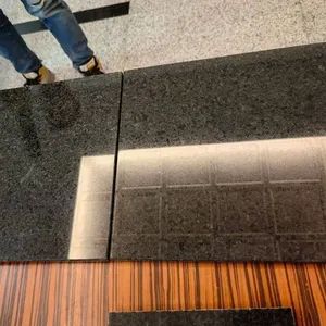Zimbabwean Black Antique: Sleek Black Granite for Modern Kitchen Islands, Bathroom Walls, Outdoor Patios, Wall Features, and Fireplace Mantels - Xiamen Dinglei Stone Co.,LTD - China