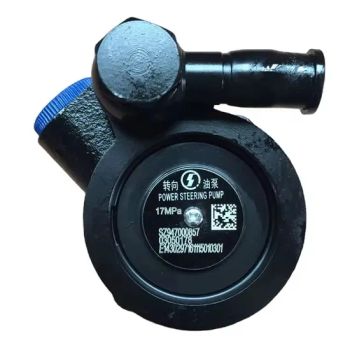 Shacman Heavy Truck Part Power Steering Pump Left Sz947000857 - Jiangsu IDBLUE Environmental Protection Technology Co.,Ltd. - China