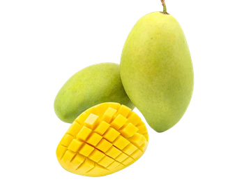 Fresh Mango Sorting Clean Texture Crunchy Grading Uniform Color Fresh Green Flavor Mild Sweetness Packing 5kg Net Carton - BLUE WAVE INTERNATIONAL LIMITED LIABILITY COMPANY - Vietnam