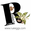 Product – product photo, Non-Roasted Coffee Beans products found from trusted suppliers, wholesalers, manufacturers & exporters Listing
