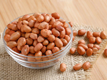 Bold Peanut Kernels  - GLOBALINE OVERSEAS - India