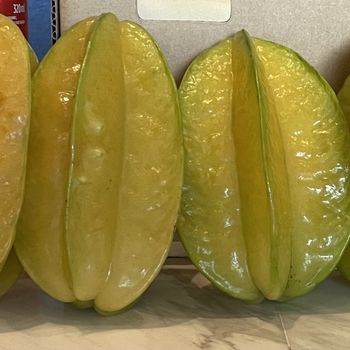 Hot Selling Fresh Starfruit Carambola from Malaysia Export Halal HACCP Premium Organic Malaysia Fruit High Grade Dry Fruits - BWE (M) SDN. BHD. - Malaysia