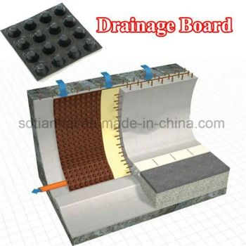Other Earthwork Product Drainage Board with High Quality Width 3m Length 20m/Roll Trademark Tianyan Model NO. THDS-8mm HS Code 3921909090 - TINHY GEOSYNTHETICS CO., LTD. - China