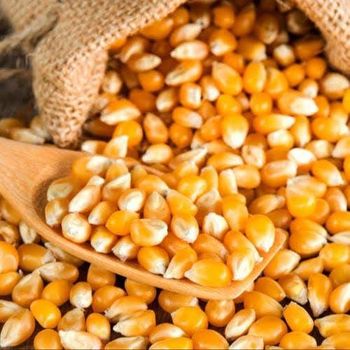 Corn (Maize) Product Style Dried Broken Content 3 Max % Protein Content 8 Min % Test Weight 63 Min Kg/hl Moisture Content 14 Max - IPS Brasil - Australia