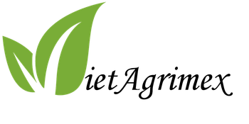 トップス ENNOY Crew Sweat Set Up \"Black/ Black\" AGRO MAKI PLUS DOOEL STR NARODEN FRONT N - Freshdi