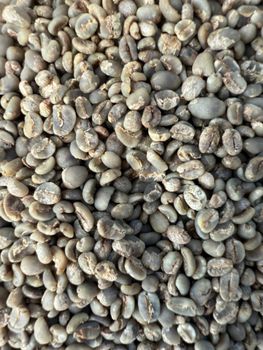 Arabica green beans from Novatrade Enterprise Arabica green beans – product photo, Long Green Beans products found from trusted suppliers, wholesalers, manufacturers & exporters Listing