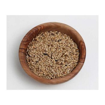 Premium Wholesale Canary Seed for Bird Food – High Purity, Natural, Clean, Nutrient-Rich Canary Seeds for Wild Birds, Pet Birds, Feed Manufacturing, Bulk Supply, Export Quality, Competitive Prices, Custom Packaging, Reliable Global Delivery for Retailers, Distributors, and Agricultural Buyers Worldwide - agroturaspzoo - Poland